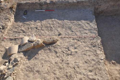 A5, vedere dinspre vest cu zidul din calcar cochilifer și fragmentele de tamburi de 