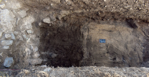 Zidul roman de incintă din perioada romană târzie, depunere modernă US010, nisip litoral US011 (vedere dinspre sud)