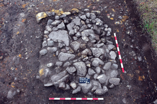 Fig. 3. Detaliu cu pylon-ul Cx. 55.