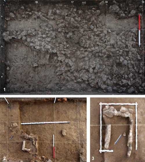 Fig. 6. Ripiceni-Holm. Structura / Locuința S/L 6 (m. 15-19). 1. Nivelul -0,40-0,50 m; 2-3. Detalii cu complexele gospodărești și caseta pentru râșnițe / Structure / Dwelling S/D 6 (m 15-19). 1. Level -0,40-0,50 m; 2-3. Details with the household complexes and the stone grinders box.