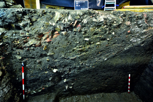 Fig. 6. Groapa de mari dimensiuni (Cx 161) la V de drum (Cx 21/63) în profilul N al secțiunii S3.