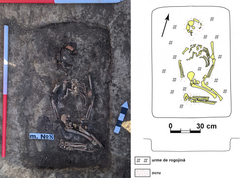 Fig. 12. Crucea-Lutărie/Est de sat. Tumulul T1, mormântul M8/2021 2021  (foto/ S.-C. Enea; desen  S. Popovici).