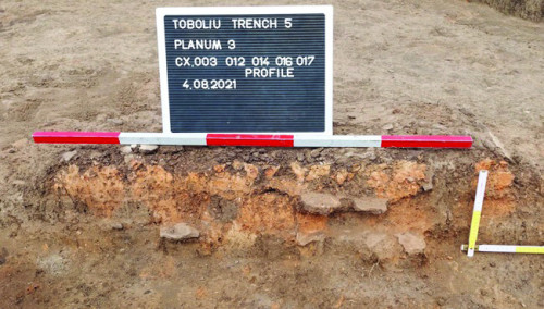 Fig. 3. Secțiune transversală prin vatra Cx 003