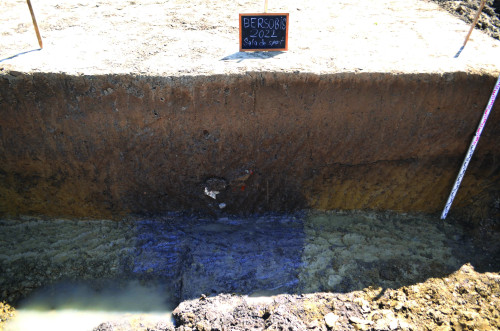 Fig. 2. Profilul de sud în care a apărut șanțul castrului S1.