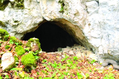 Fig. 3. Portalul Peşterii Gaura Cocoşului.
