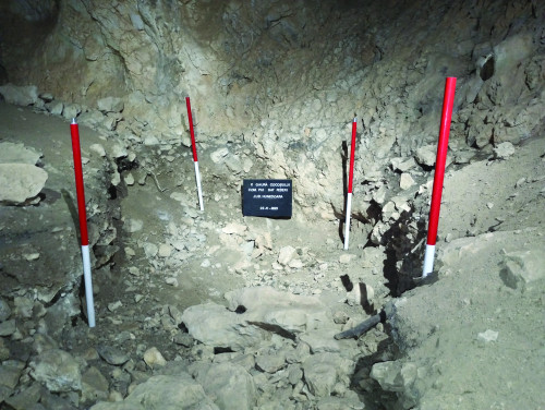 Fig. 4. Săpătura M. Roska.