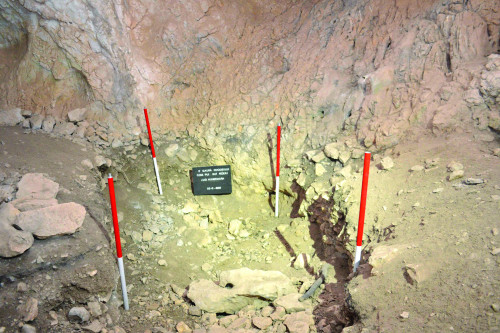 Fig. 5. Detaliu lentilă arsură.