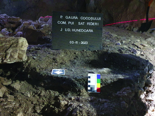 Fig. 6. Detaliu lentilă arsură.
