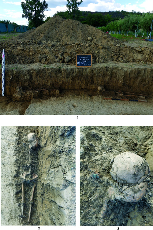 Pl. VI. 1 - Mormintele M60-M61; 2-3 Mormântul M60.
