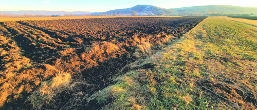 Fig. 1. Grumăzești - „Deleni”. Vedere generală dinspre nord asupra sitului arheologic / monumentului istoric (foto: C. Preoteasa, 2022).