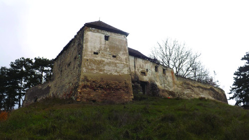 Fig. 1. Cetatea Jimbor văzută dinspre sud.