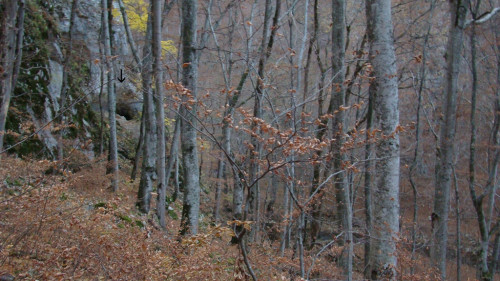 Fig. 1. Amplasarea sitului Abri 122.