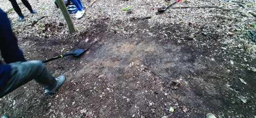 Fig. 4. Curățarea perimetrului în care au fost identificate monedele.