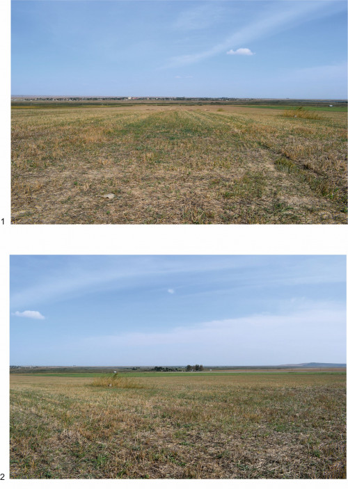 Fig. 1.  Situl arheologic de la Baia. Zona 1.