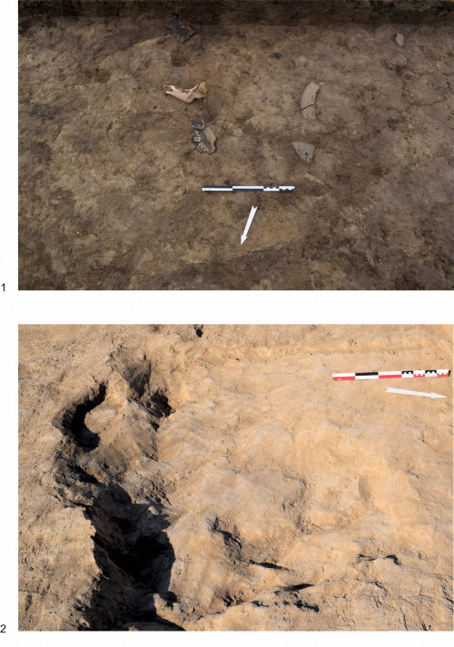 Fig. 10. Situl arheologic de la Baia. Son 27. F2007.