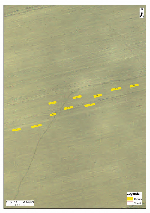 Fig. 2.  Situl arheologic de la Baia. Zona 1. Son. 1.