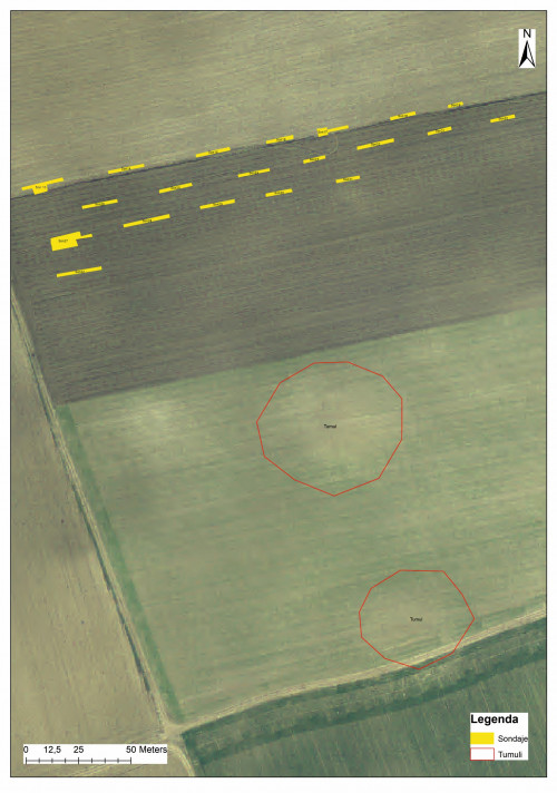 Fig. 6. Situl arheologic de la Baia. Complex tumular cercetat parțial în anul 1974.