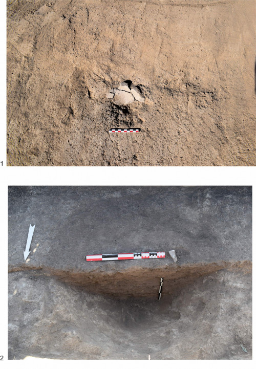 Fig. 8.  Situl arheologic de la Baia. 1. Son 13, US 2002; 2. Son 15, F2004.