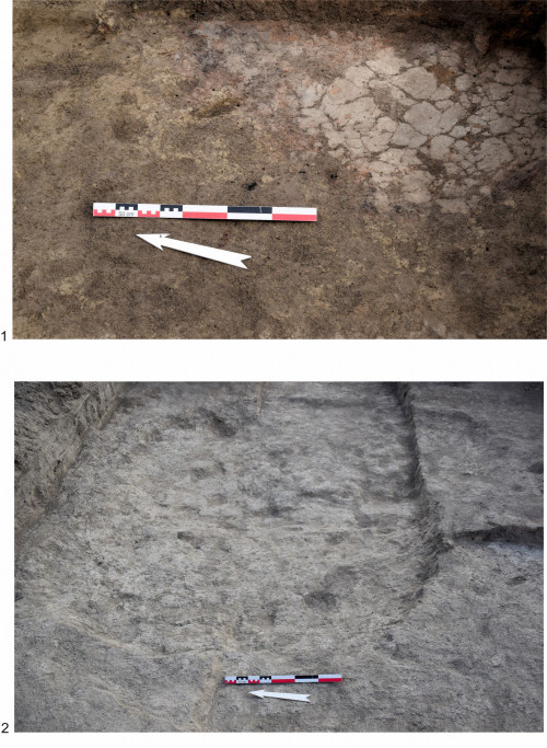 Fig. 9. Situl arheologic de la Baia. Son 17. 1. F2009; 2. F2006.