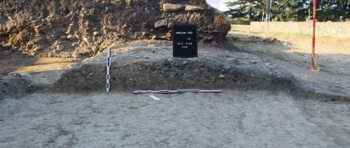 Fig. 6. Secțiune prin via sagularis.