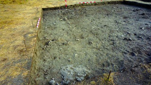 Fig. 2. Imagine cu suprafața V5bS.