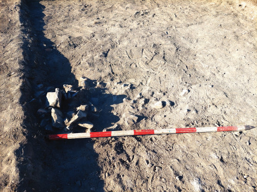 Fig. 8. S21 Dărâmătură romană târzie. Vedere dinspre N.