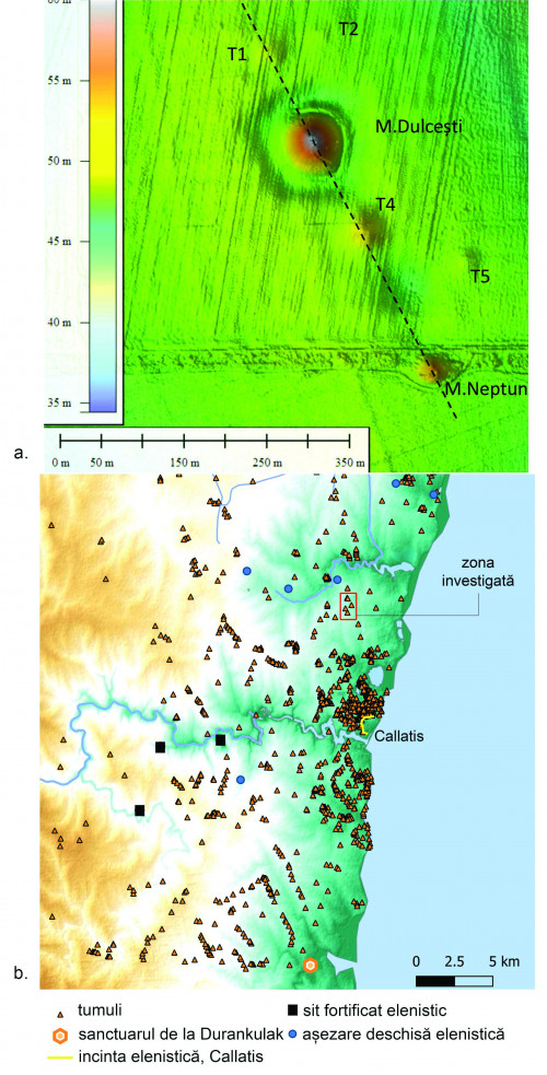 Fig. 1. Callatis, Movila Dulcești: a) modelul digital al terenului realizat din date LiDAR pentru grupul tumular studiat; b) localizarea sectorului studiat în ansamblul descoperirilor din epoca elenistică de la Callatis.