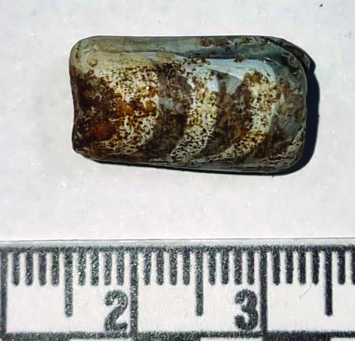 Fig. 11. Mărgică.