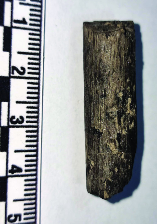 Fig. 12. Fragment brățară de sapropelit.