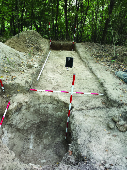 Fig. 4. S1 prelungire 2023 și M7.