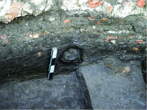 Fig. 2.2. Păuca, S13, U1.