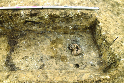 Fig. 1. Mormântul de inhumație dublă M124-25, cu scheletele în poziție ghemuită, din necropola scitică de la Sâncrai-Darvas.