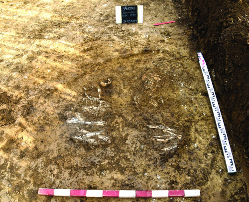 Fig. 2. Mormântul de incinerație M23 datat în La Tène C2 de la Sâncrai-Darvas.
