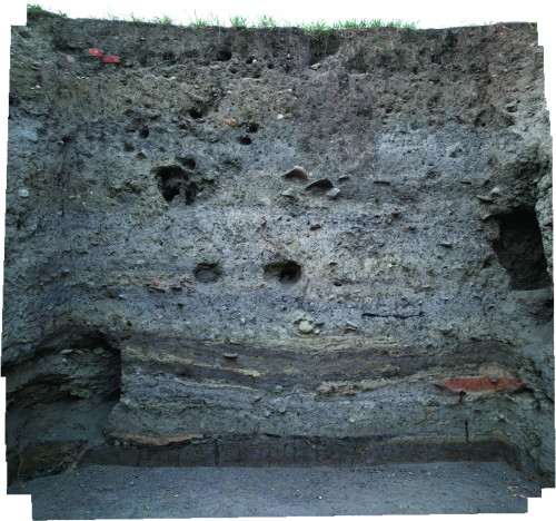 Fig. 2. Sântion - Movila Mănăstirii/Kolostordomb. Profil nordic al secțiunii S 2 (fotografie).