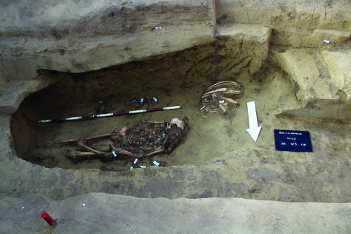 Fig. 3. C 41.