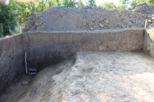 Fig. 3. Secțunea S2 cu descoperirea parțială a Cx.2.