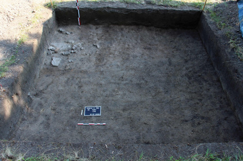 Fig. 2. Secțiunea S1 și Cx.1.
