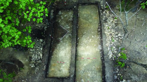 Fig. 1. Târcov – Piatra cu lilieci. Secțiunile S31-32 și complexul 124.