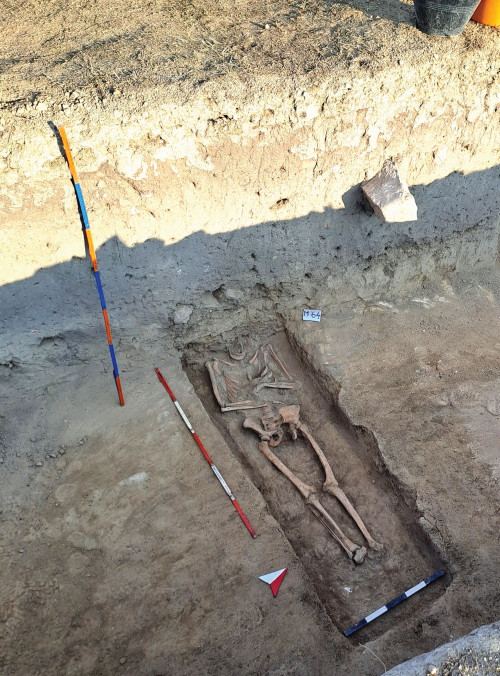 Fig. 4. Capidava X, campania 2023. Mormintul M 64 -
aspect de lucru.