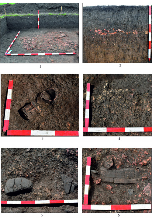 Fig. 2. Topolița – La nord-vest de sat: 1, detaliu din locuința L.6; 2, detaliu stratigrafic; 3, vase sparte pe loc; 4, vatra din L. 6;
5, 6, râșnițe in situ.