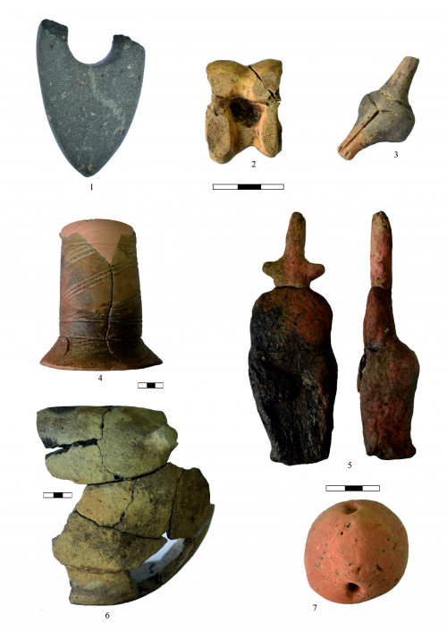 Fig. 4. Topolița – La nord-vest de sat: 1, topor din epoca bronzului; 3-5, artefacte specifice culturii Precucuteni;
6, 7, obiecte atribuite culturii Ceramicii liniare.