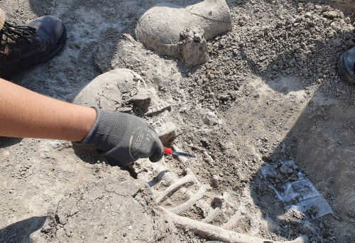 Fig. 5. M 130. Inventar funerar. Foto.