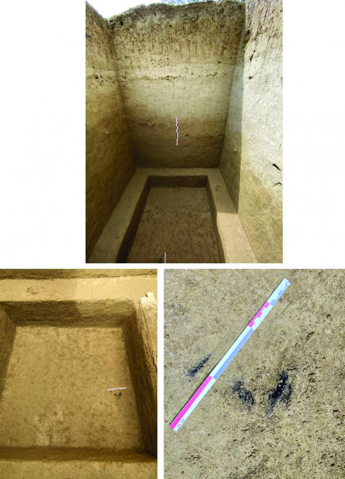 Fig. 2. Poiana Cireșului - Piatra Neamț, campania 2023: urme de cărbune identificate în partea inferioară a depozitului.