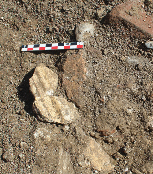 Fig. 5.2. Fragmente de stuc.