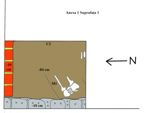 Fig. 2. Caseta C2 și mormântul M1.