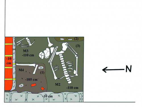 Fig. 3. Mormintele M2 și M3 din C2.