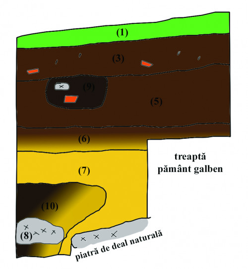 Fig. 4. Caseta C1 - profil de sud.