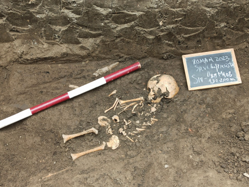 Fig. 8.3. Suprafața S.2: 1-3, aspecte de șantier cu morminte.