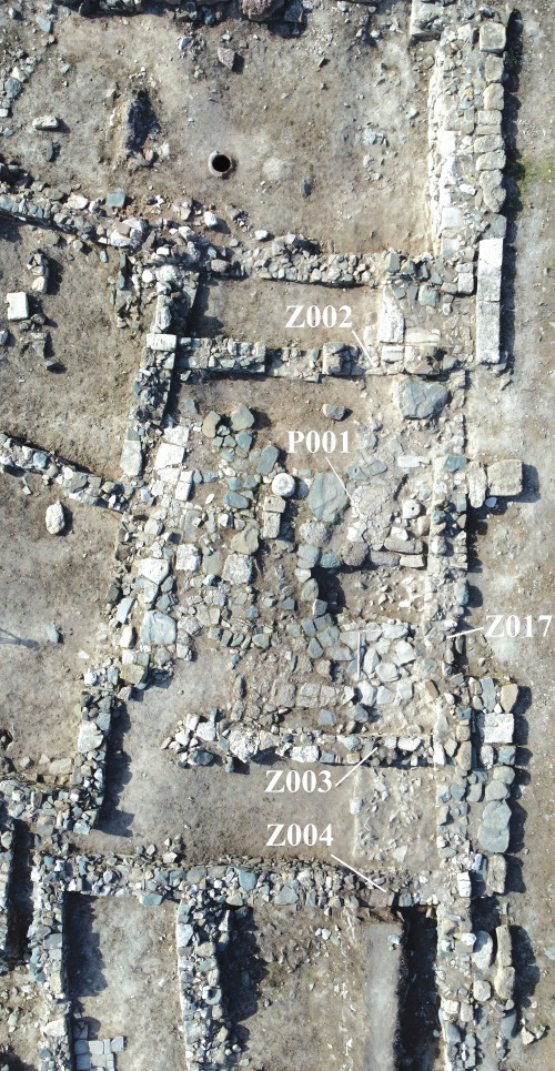 Fig. 3. Martorii stratigrafici M003/013 și M004/014, cu Z002, Z003, Z004, Z017 și P001 (V. Bottez).