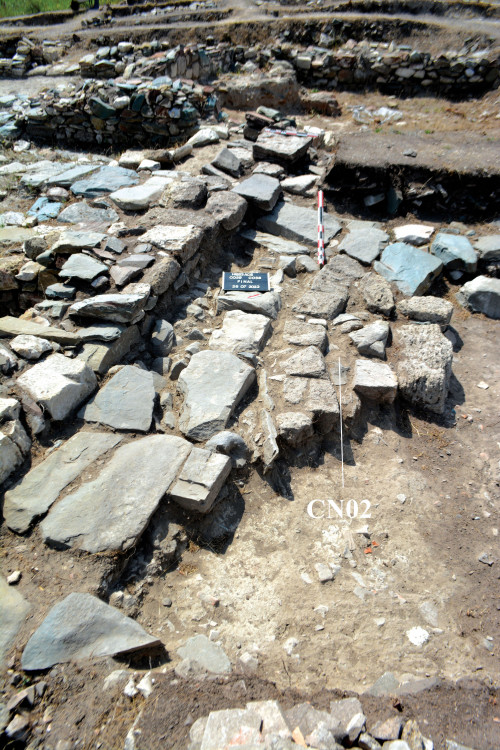 Fig. 5. Martorul stratigrafic M029/058, cu CN02 (V. Bottez).